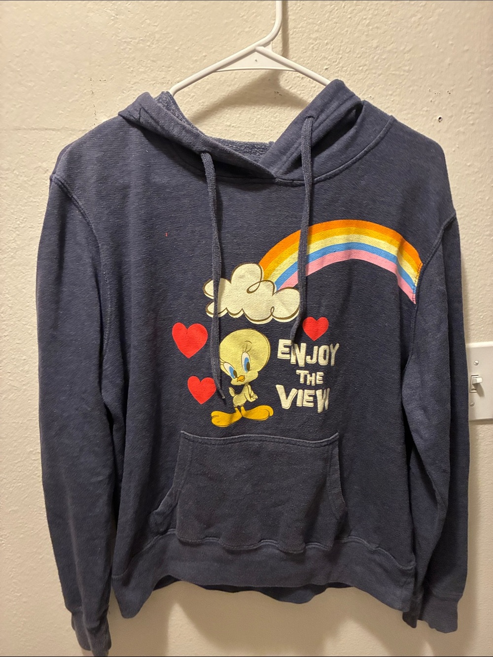 Warner Bros. Navy Tweety Graphic Hoodie with Rainbow